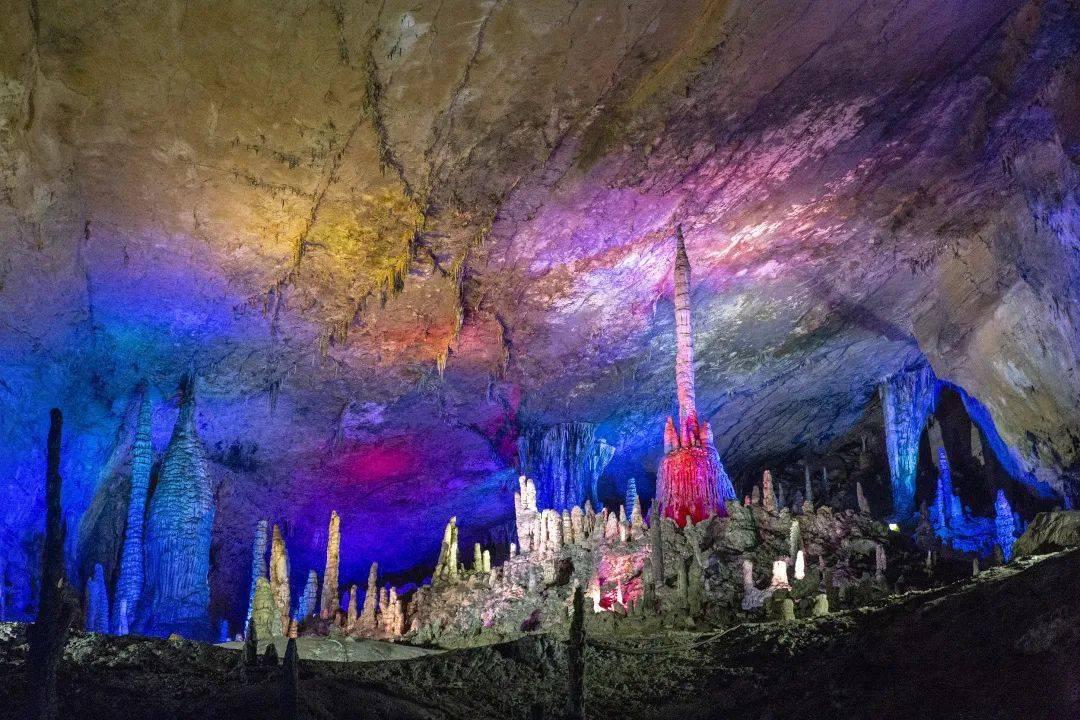 虫虫助手下载